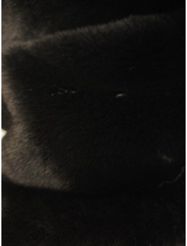 Pelo ecológico Negro